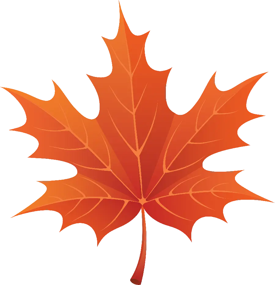 Download PNG graphic png image of autumn leaf design 
