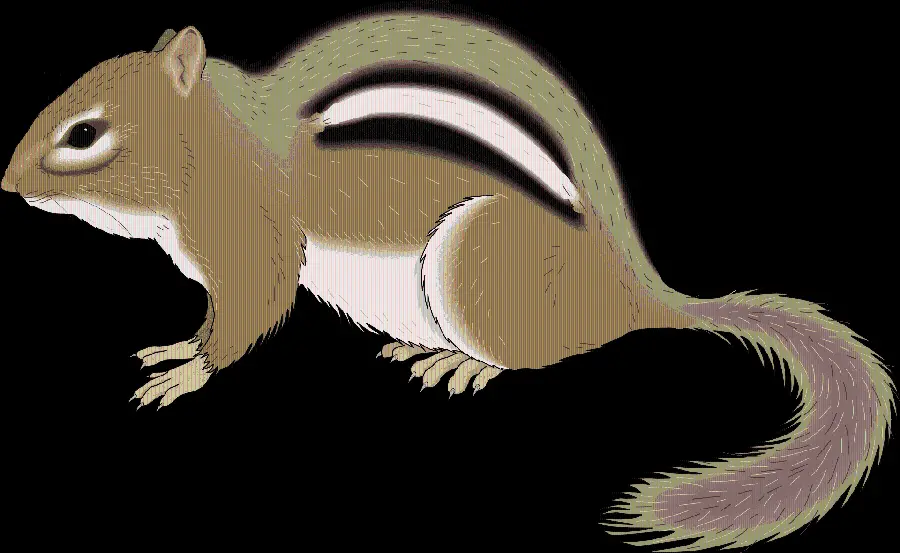Download image Animated and graphic squirrel in PNG format