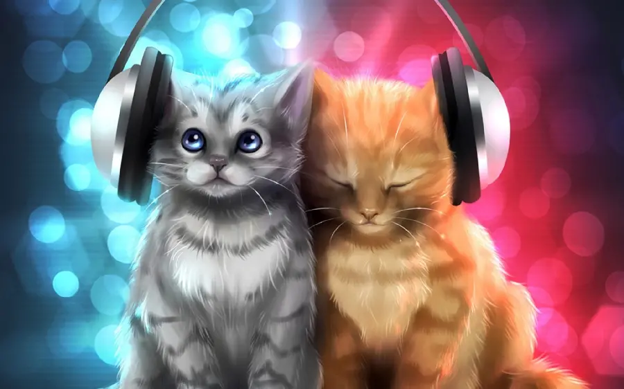 Fun and cute stock photo of cats with headphones