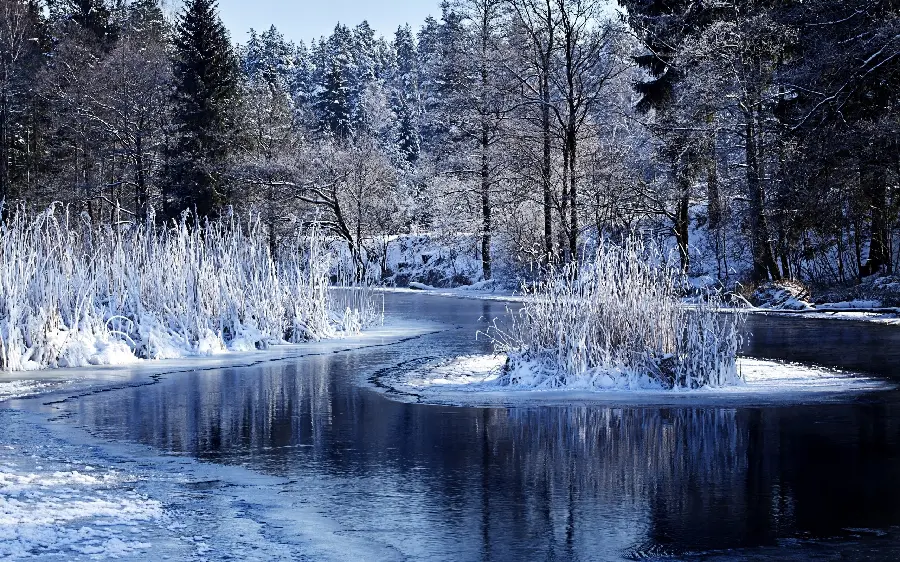 Highest Quality Beautiful Winter Nature Photo for Modern Poster Printing
