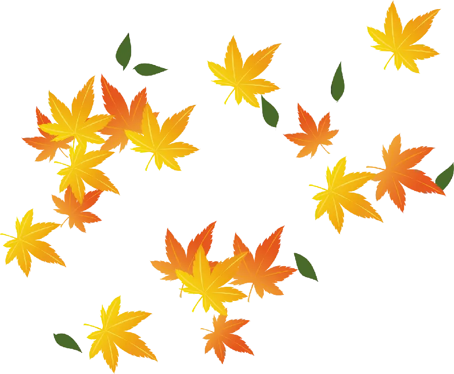 The most viewed free and high-quality PNG image of beautiful autumn leaves design
