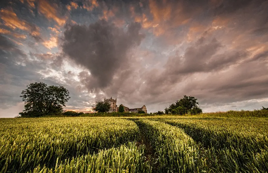 Download the most special and interesting photos of pure and magical nature