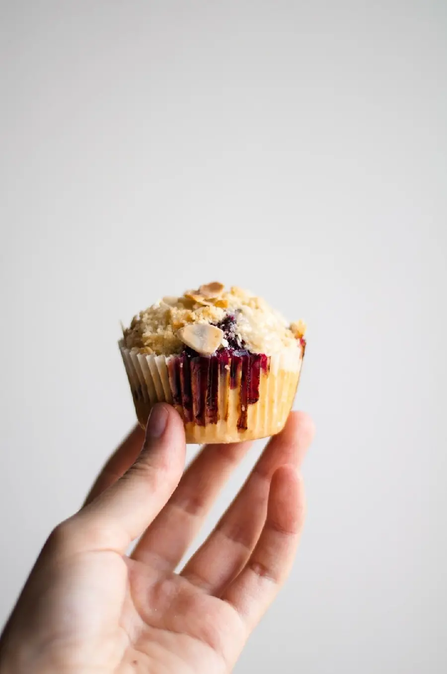 Download Sweet and Delicious Creamy Blueberry Cookie Photo
