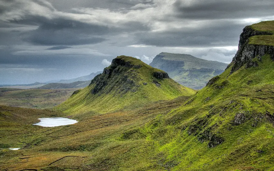 Free download of beautiful and lush nature background photo with excellent quality