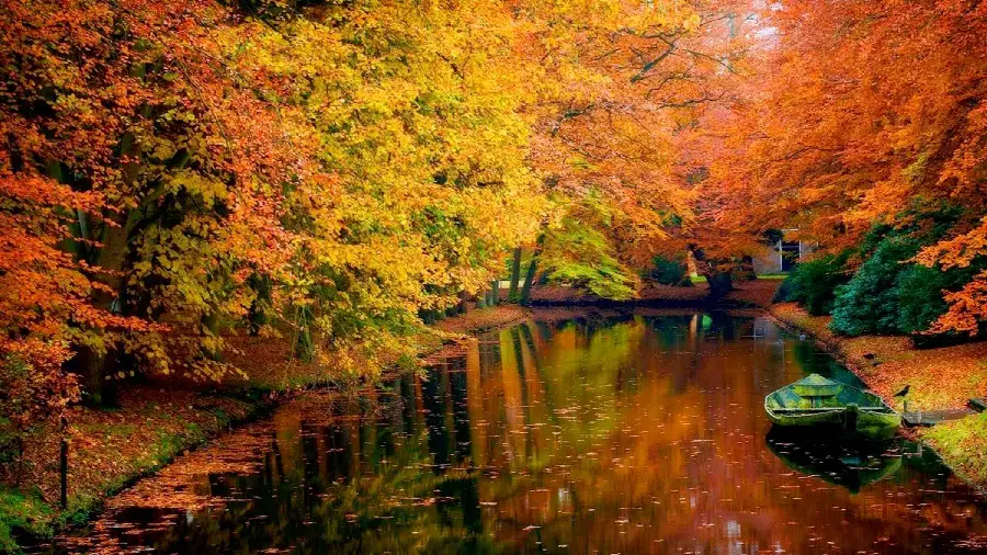 Stock photo of a sweet dream of an autumn trip to the lake of the forest of a thousand colors of autumn