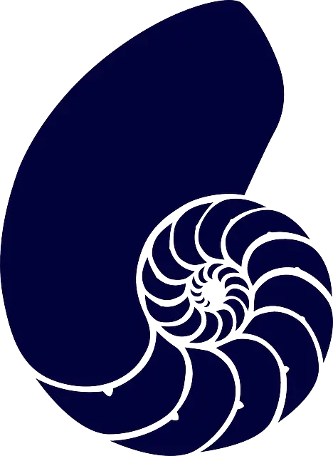 Photo of the Nautilus Chamber by Dante Fenugreek