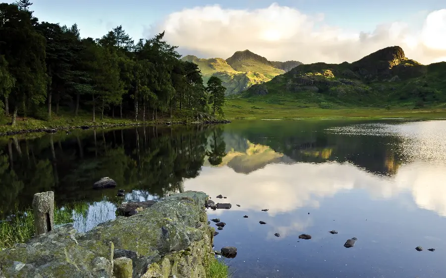 Download photo of a lake next to a stylish and spectacular forest in Europe 