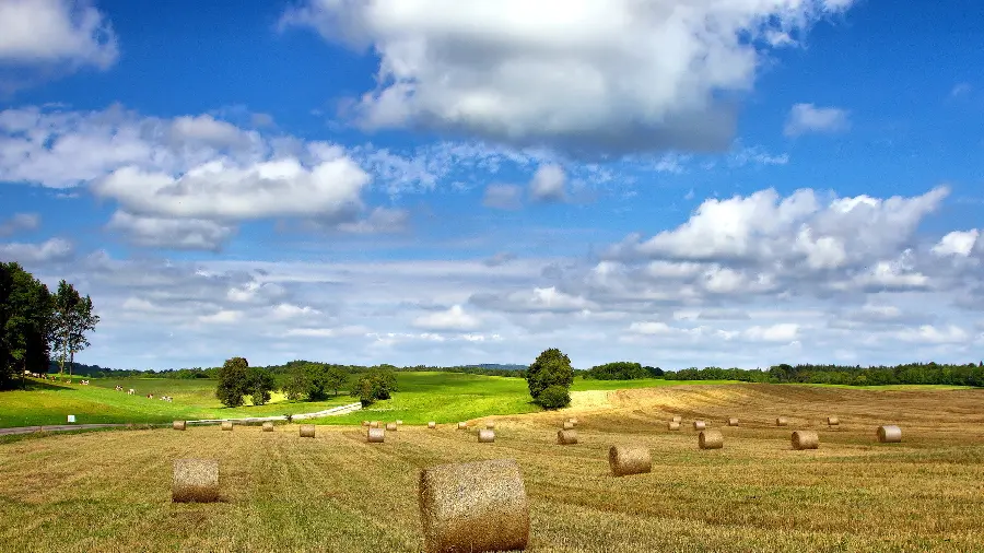 A very high quality background image of a natural landscape for a laptop 