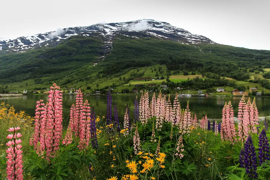 Download a photo of a romantic and dreamy landscape that gives a romantic feeling to a person