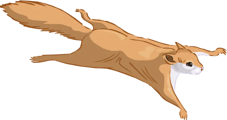 Transparent tree squirrel image flying in PNG format 