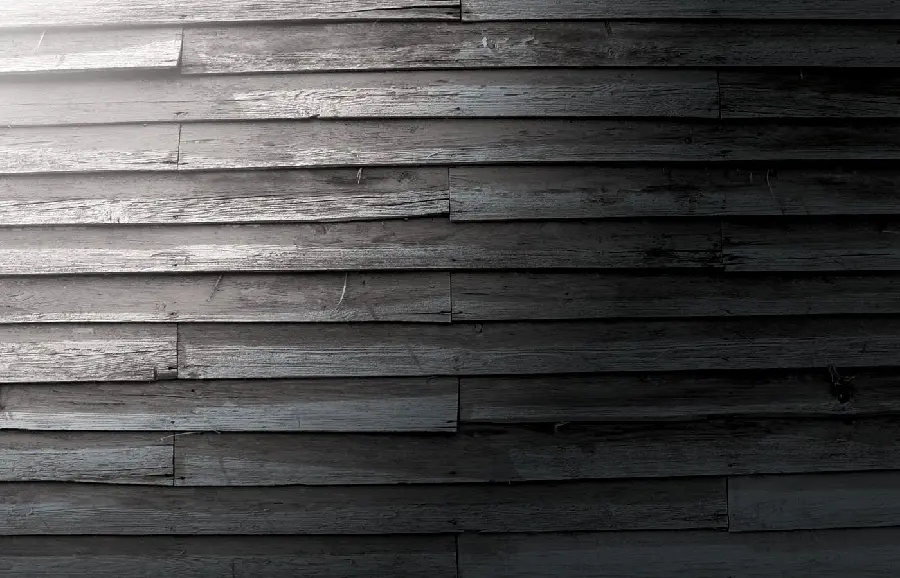 Black walnut wood texture with gray tones has aPala