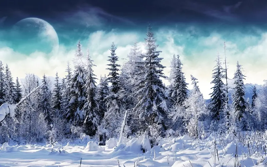 The most dreamy image of tall snowy winter trees in nature 