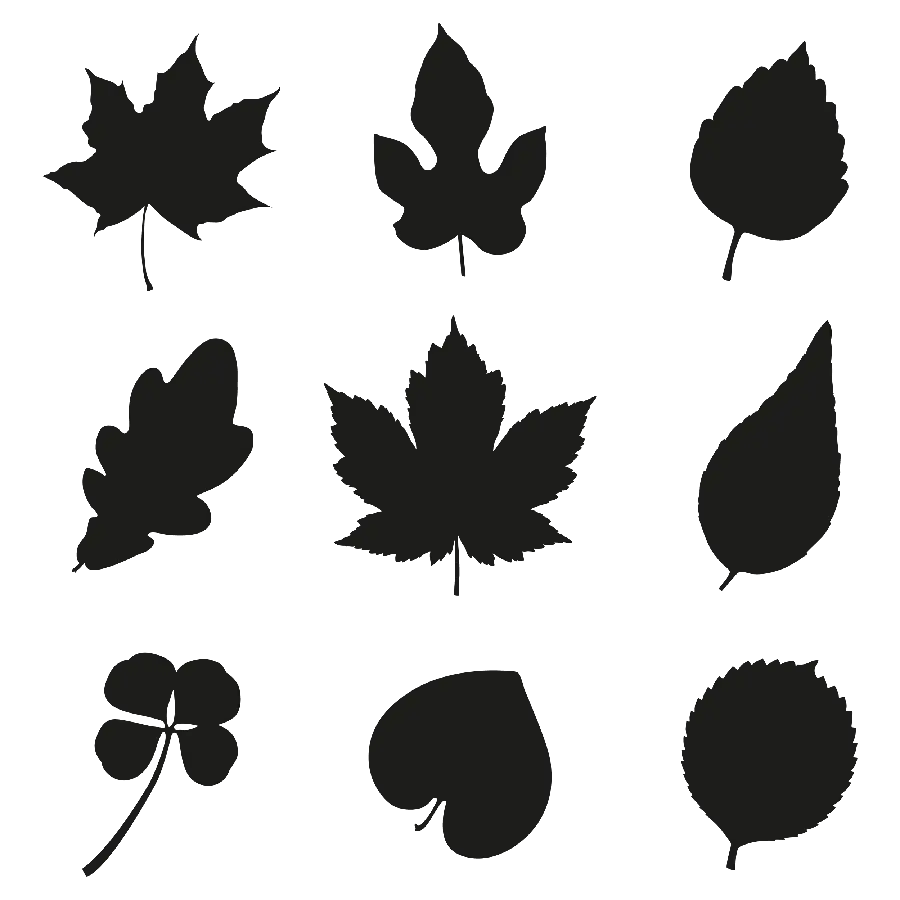 Free download of a free PNG teleported image of autumn leaves for logo design