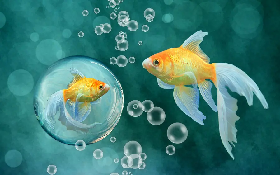 Beautiful and spectacular watercolor painting of fish underwater