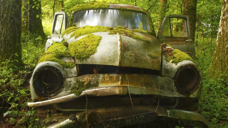 Wallpaper of a very old car and moss growing on the car