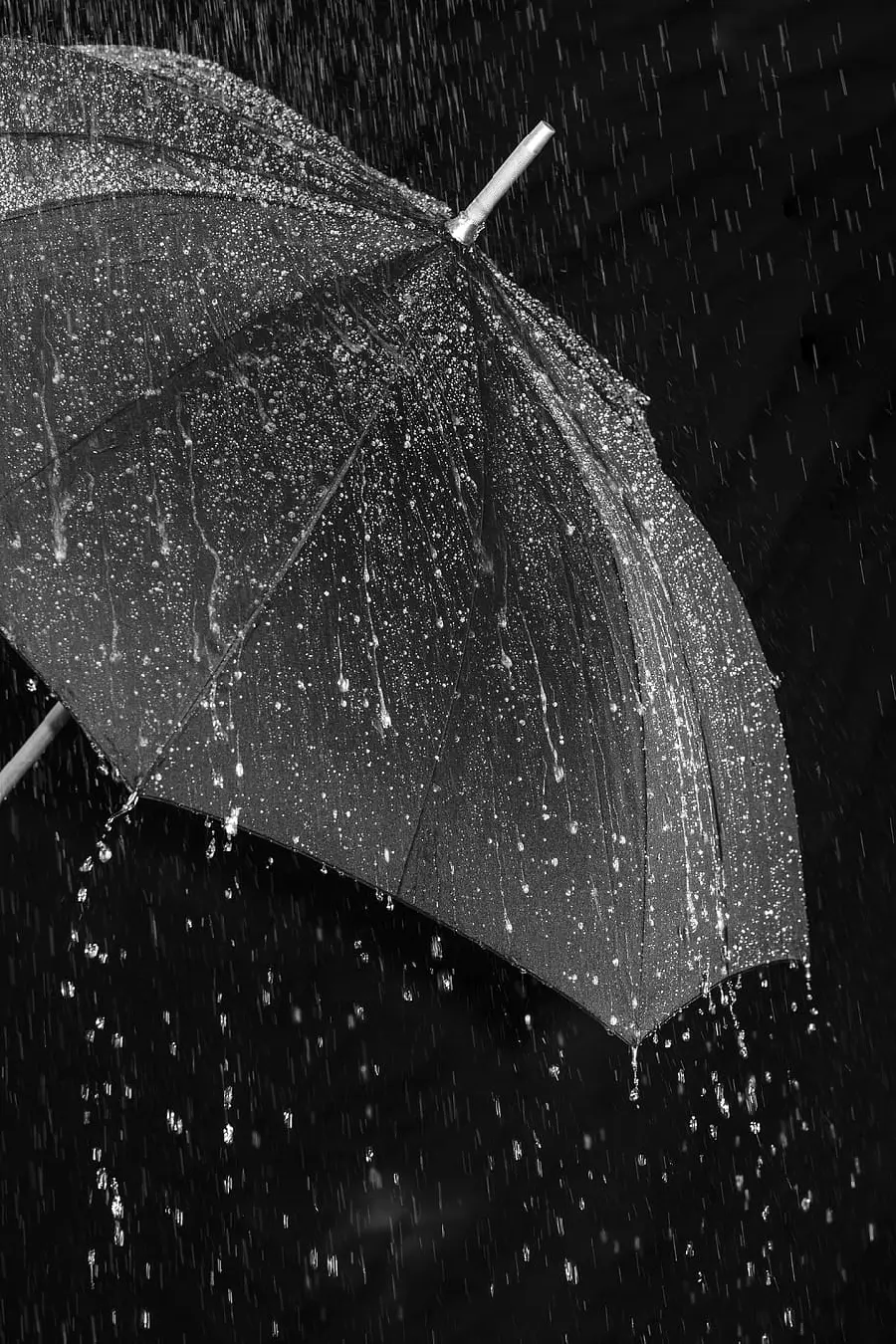 Transparent umbrella profile and background with a black background