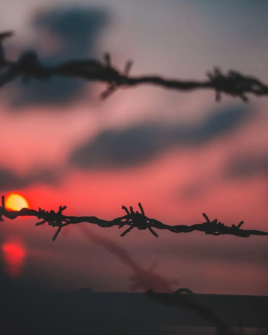 Background photo for printing a sign with a different barbed wire design