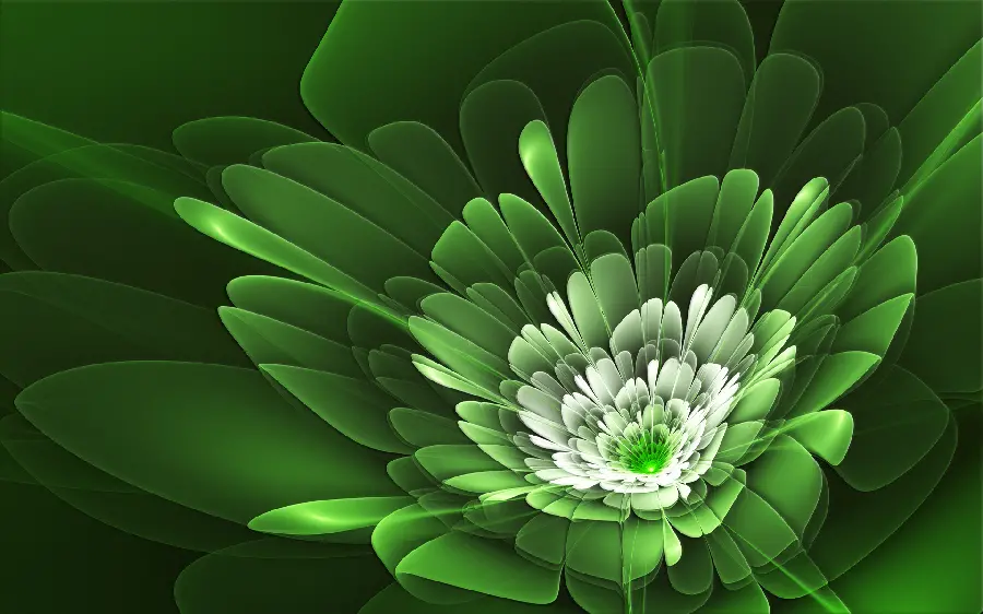 Modern Digital Wallpapers and Backgrounds 2024 with Green Leaves Design