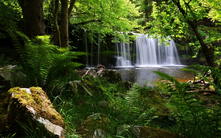 Lush background of a forest full of trees with a roaring waterfall 