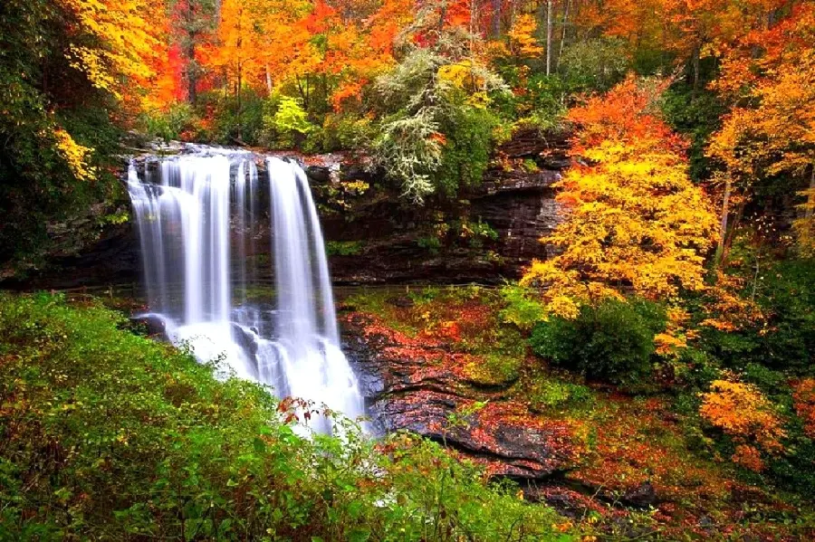 Download a special and spectacular photo of a waterfall in the forest with an autumn theme and the best quality 