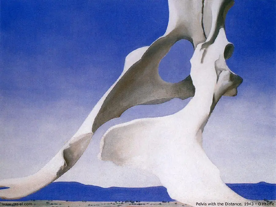 A photo of Georgia O'Keeffe's strange and unique pelvic bone painting