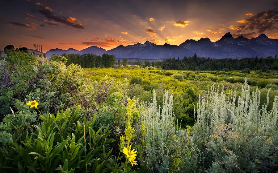 Download photo of nature scenes in a pleasant sunset for printing