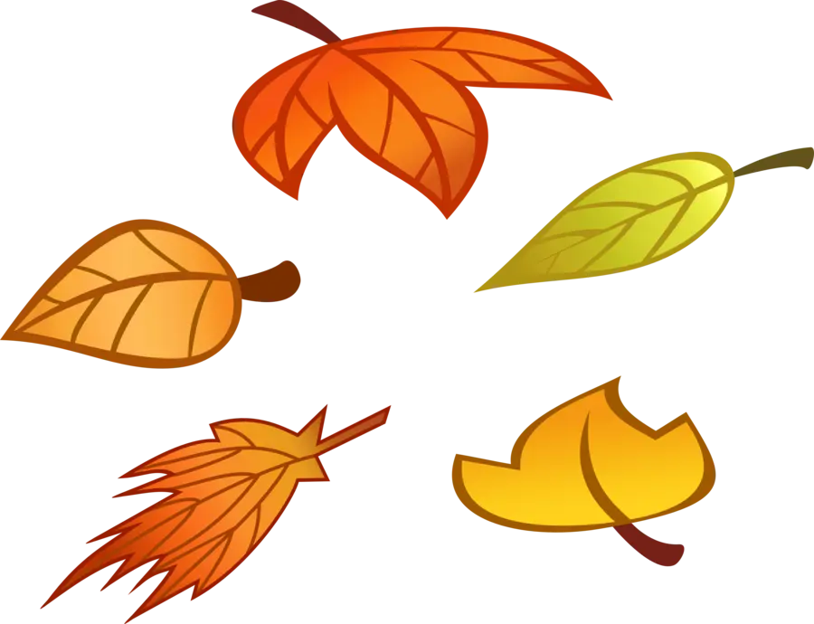 Autumn leaves teleported image in PNG format with a white background