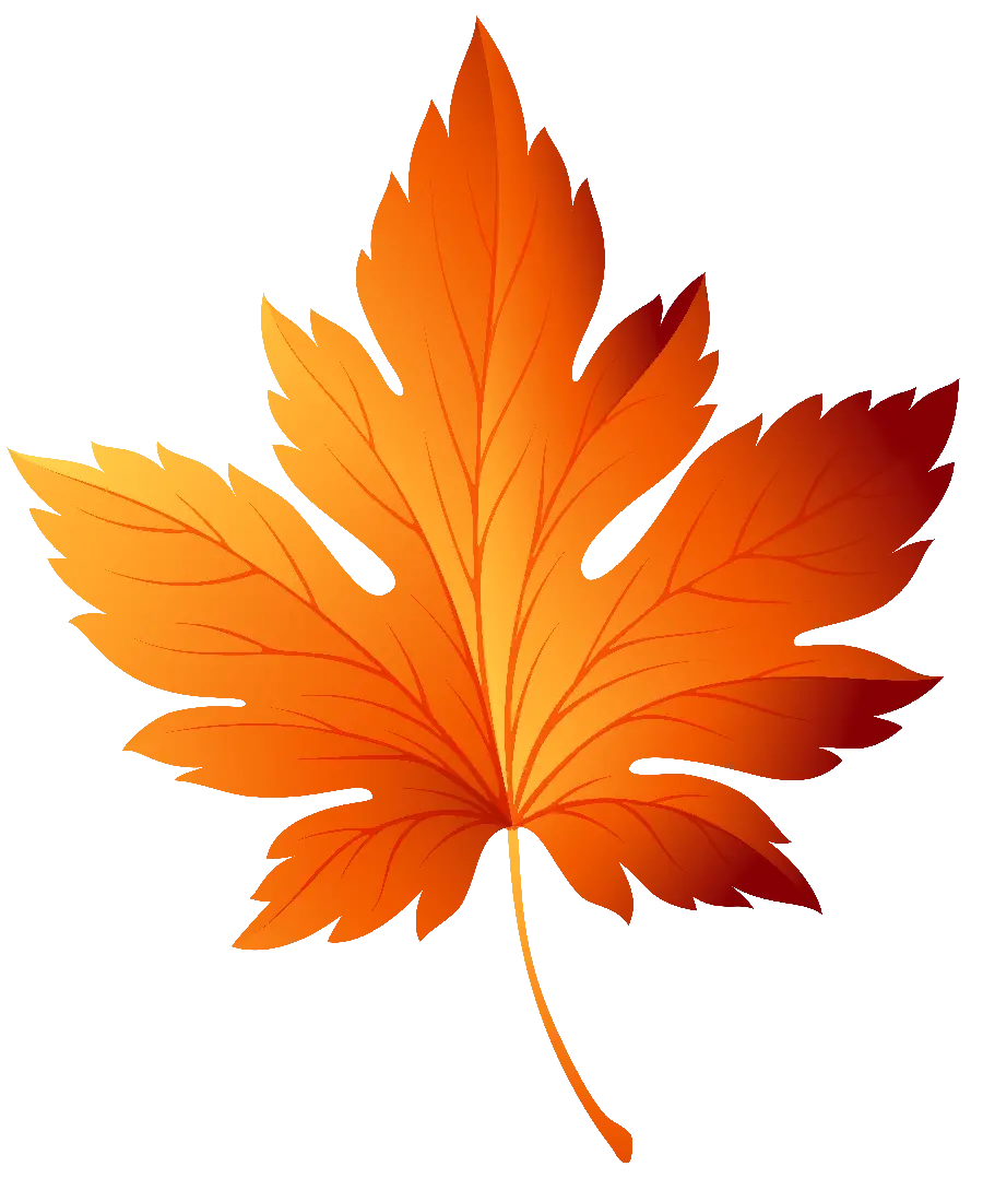 The best simple autumn leaf graphic design suitable for presentation as a student project 