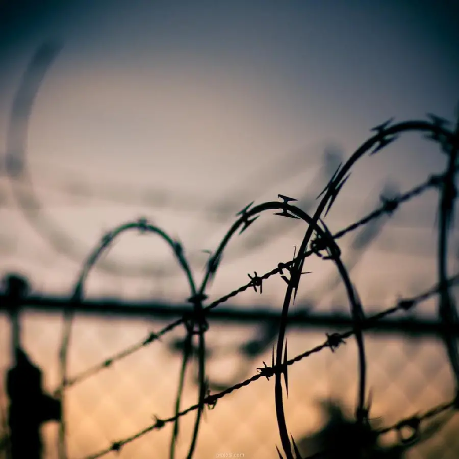 High quality image of a ring barbed wire for a profile