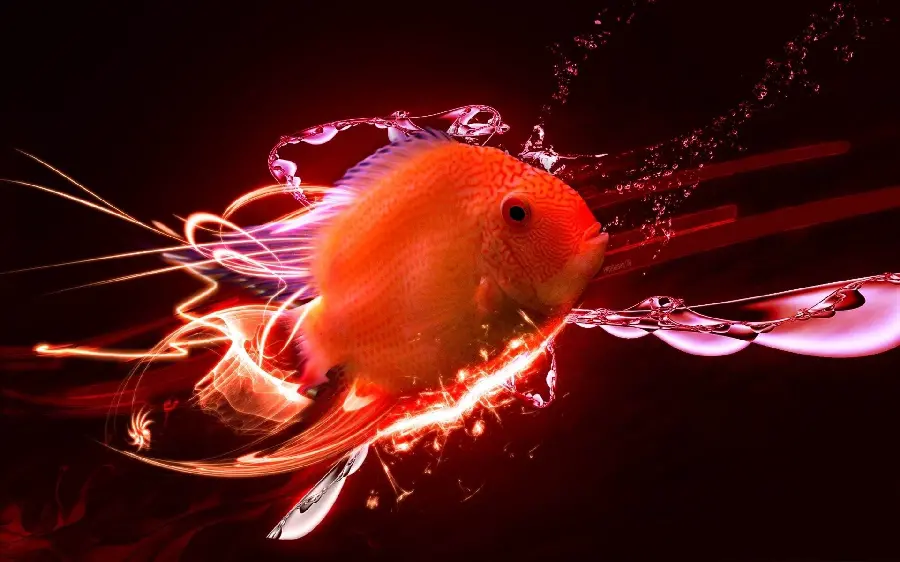 The coolest cute and funny black background wallpaper for Xiaomi mobile phones 