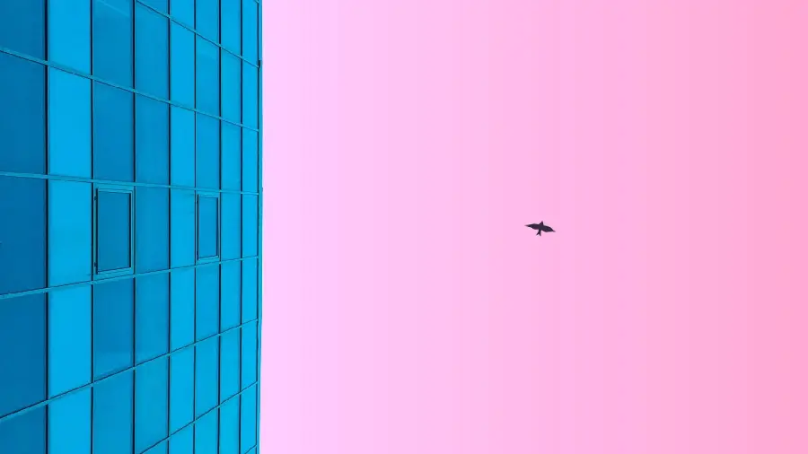 Girl Profile Picture with Minimalist Building Design