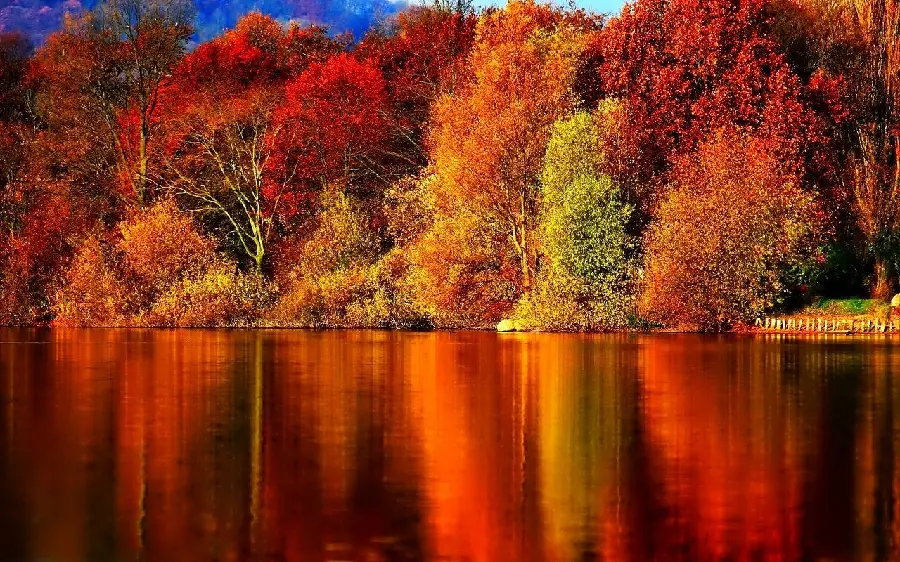 Download profile photo of natural landscape of leafy trees and calm river with autumn theme