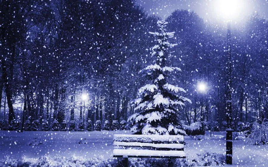 Stock image of a dreamy night view of the winter season full HD 