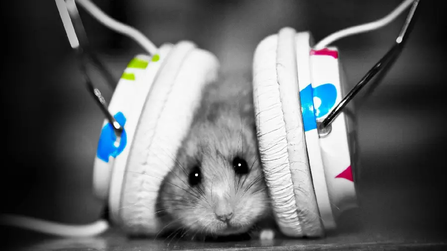 Download cute and funny profile picture of a mouse listening to music