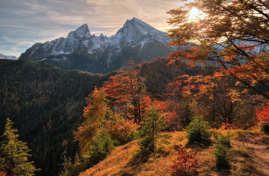 Profile image and wallpaper of the waterfall and tall, leafy autumn trees 