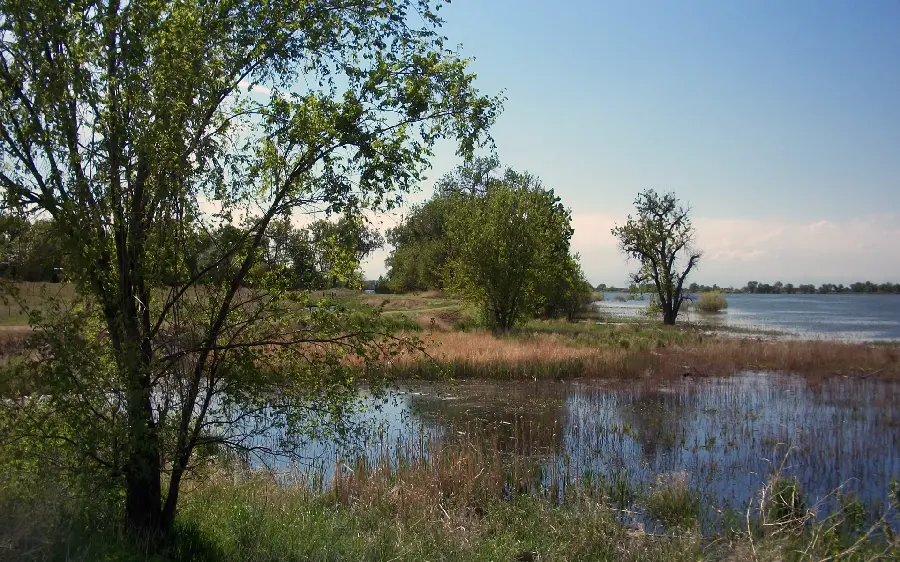 Special tree in a natural tourist attraction