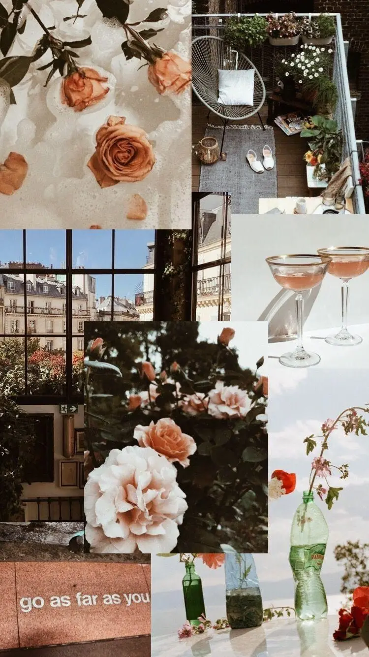The most special wallpaper of the rarest flowers in the world
