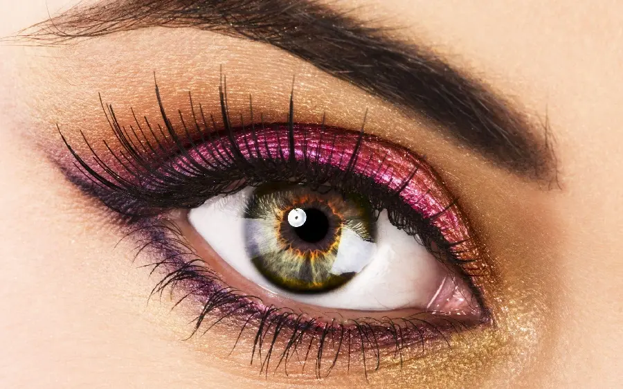 Download HD image of a very beautiful eye and eyebrow with long and thick eyelashes