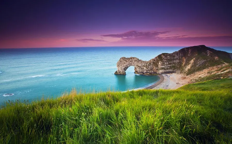 The most up-to-date dreamy beach grass photos for free