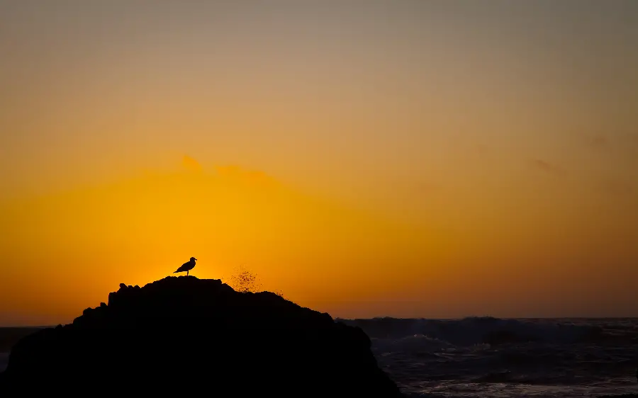 Wallpaper with a sad and depressing feeling during the spectacular sunset 