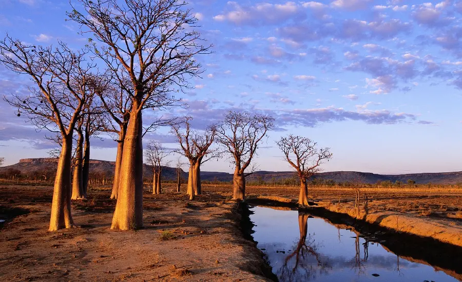 Free download of stock of nature and spectacular scenery