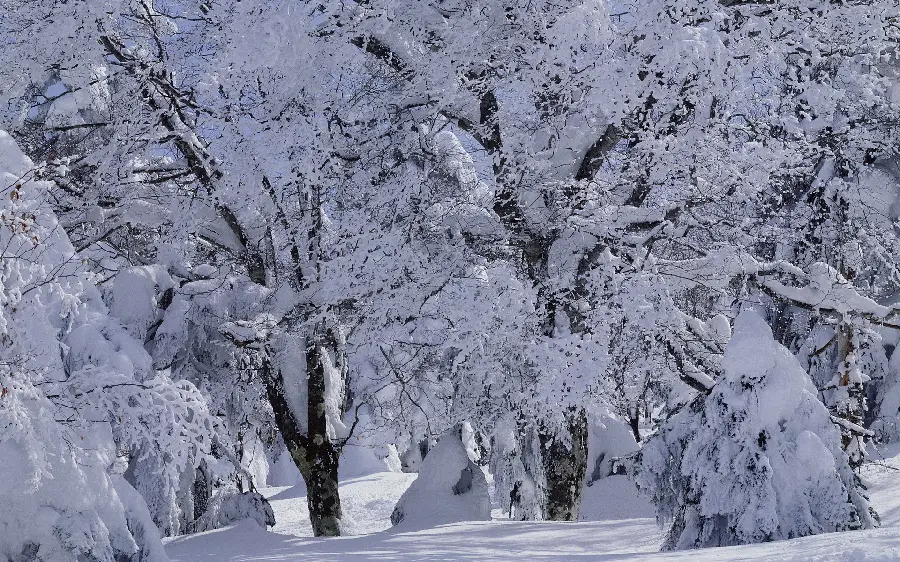 Free HD stock photo with horizontal snowy winter theme for printing boards 