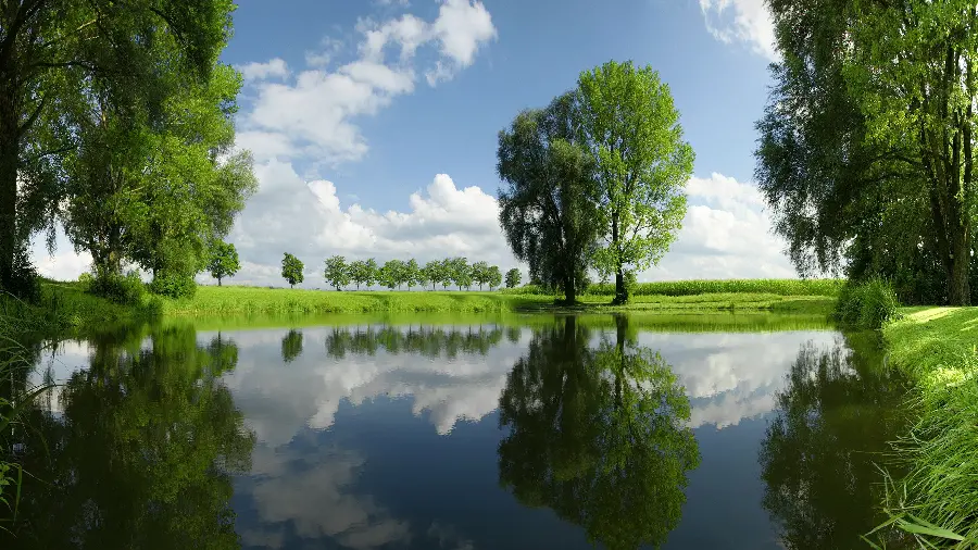 Relaxing nature published in 1402 