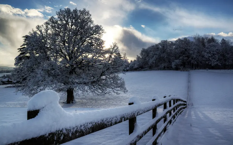 Download special winter stock photos for printing 