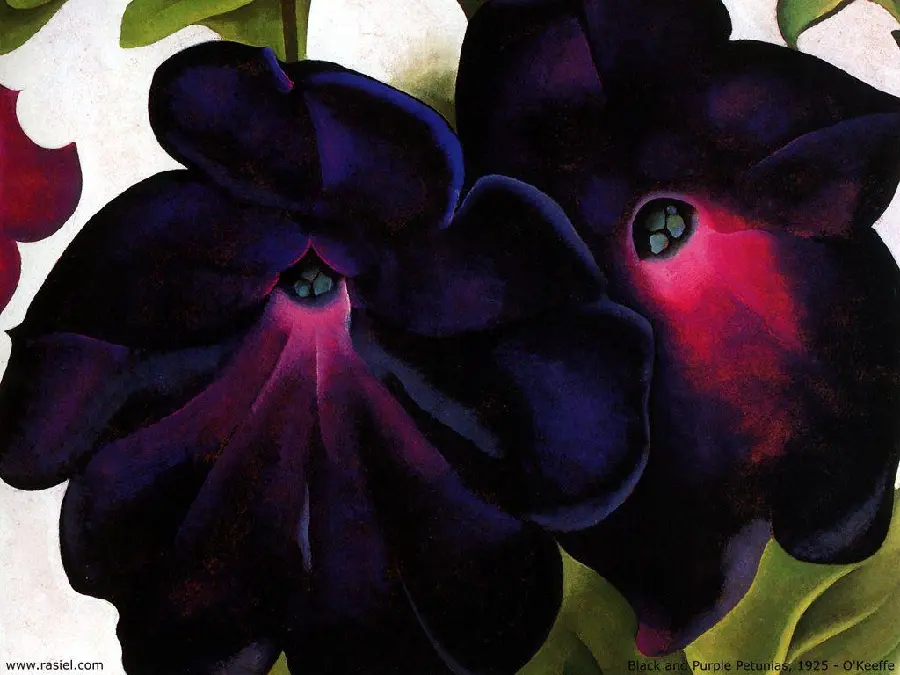 A picture of a purple petunia painting from Georgia O'Keeffe's famous works