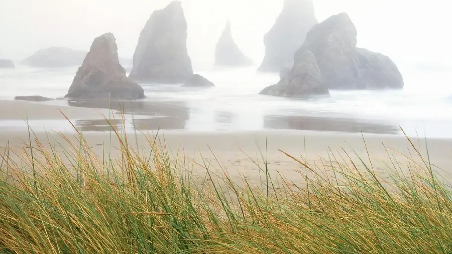 Image of grass by the strange beach with interesting boulders