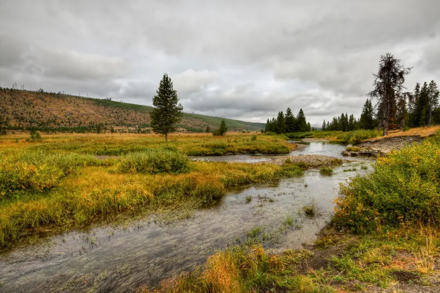 Image of Yellowstone National Park, a park in America