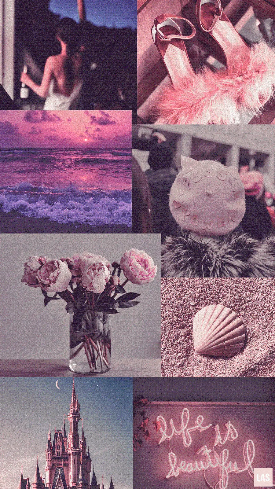 The most beautiful collage design of beautiful and fragrant pink flowers 