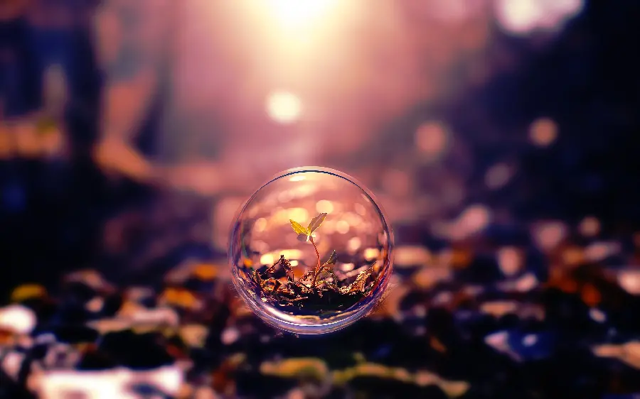 FULL HD Wallpaper