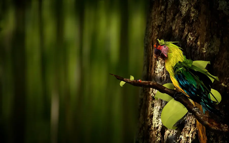 The Most Beautiful Digital Painting Photo of Parrot with Large size 